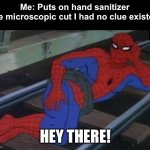 Isn’t this so true? | Me: Puts on hand sanitizer
The microscopic cut I had no clue existed:; HEY THERE! | image tagged in memes,sexy railroad spiderman,spiderman | made w/ Imgflip meme maker