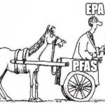 cart before the horse | EPA; PFAS | image tagged in cart before the horse | made w/ Imgflip meme maker