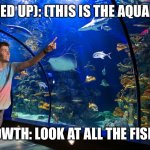 At the aquarium. | AZUL (TIED UP): (THIS IS THE AQUARIUM….); MEOWTH: LOOK AT ALL THE FISHES! | image tagged in aquarium | made w/ Imgflip meme maker