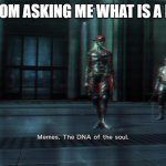 my mom asking me | MY MOM ASKING ME WHAT IS A MEME | image tagged in memes the dna of the soul,memes,mom | made w/ Imgflip meme maker