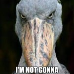 scary bird | I'M NOT GONNA SUGARCOAT IT | image tagged in scary bird | made w/ Imgflip meme maker