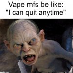 But if they go 15 minutes without fruit flavored gas, they go nuts... | Vape mfs be like:; "I can quit anytime" | image tagged in gollum lord of the rings,memes,gollum | made w/ Imgflip meme maker