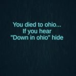Guiding light | You died to ohio...
If you hear "Down in ohio" hide | image tagged in guiding light | made w/ Imgflip meme maker