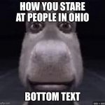 donke | HOW YOU STARE AT PEOPLE IN OHIO; BOTTOM TEXT | image tagged in donke | made w/ Imgflip meme maker