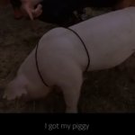I got my piggy meme