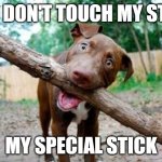 Dog | YOU DON'T TOUCH MY STICK; MY SPECIAL STICK | image tagged in dog stick,funny memes,dogs | made w/ Imgflip meme maker