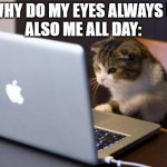 Cat using computer | ME: WHY DO MY EYES ALWAYS HURT
ALSO ME ALL DAY: | image tagged in cat using computer | made w/ Imgflip meme maker