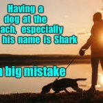 Shark at the beach | Having  a  dog  at  the  beach,   especially  when  his  name  is  Shark; Is a big mistake | image tagged in walking dog on beach,can be fun,but not when,his name is shark,big mistake,fun | made w/ Imgflip meme maker