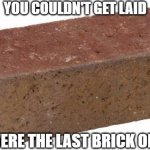 brick | YOU COULDN'T GET LAID; IF YOU WERE THE LAST BRICK ON EARTH | image tagged in brick | made w/ Imgflip meme maker