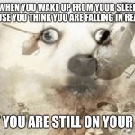Scary | WHEN YOU WAKE UP FROM YOUR SLEEP BECAUSE YOU THINK YOU ARE FALLING IN REAL LIFE; BUT YOU ARE STILL ON YOUR BED | image tagged in ptsd dog | made w/ Imgflip meme maker