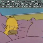 I’ll do it later | ME TAKING A NAP KNOWING DAMN WELL I HAVE 50 MISSING ASSIGNMENTS,10 MISSING TESTS AND A MISSING ESSAY | image tagged in how i sleep homer simpson,memes,funny,relatable,true story,oh wow are you actually reading these tags | made w/ Imgflip meme maker