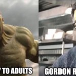 untitled meme | GORDON RAMSEY TO KIDS; GORDON RAMSEY TO ADULTS | image tagged in angry hulk vs civil hulk | made w/ Imgflip meme maker