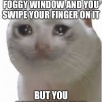 cryng cat | WHEN YOU SEE A FOGGY WINDOW AND YOU SWIPE YOUR FINGER ON IT; BUT YOU CAN'T DRAW ON IT. | image tagged in cryng cat | made w/ Imgflip meme maker