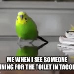 run! | ME WHEN I SEE SOMEONE RUNNING FOR THE TOILET IN TACOBELL | image tagged in gifs,taco bell | made w/ Imgflip video-to-gif maker