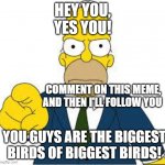 You da biggest bird of biggest birds | HEY YOU,
YES YOU! COMMENT ON THIS MEME, AND THEN I'LL FOLLOW YOU; YOU GUYS ARE THE BIGGEST BIRDS OF BIGGEST BIRDS! | image tagged in hey you | made w/ Imgflip meme maker