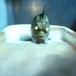 Saturday the 14th Movie 1981 Bathtub Monster