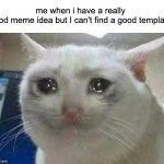 happened | me when i have a really good meme idea but I can't find a good template | image tagged in crying cat | made w/ Imgflip meme maker