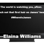 Television | The world is watching you, pfizer.
 
Touch not that first hair on James' head!
 
#WhereIsJames; ---Elaina Williams | image tagged in television | made w/ Imgflip meme maker