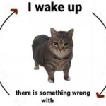 i wake up cat blank