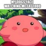 kirbo doggo | MY DOGS FACE 
WATCHING ME EAT FOOD | image tagged in suprised kirby,kirby,kirby has found your sin unforgivable,dog,funny | made w/ Imgflip meme maker