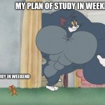 muscled Tom | MY PLAN OF STUDY IN WEEKEND; MY STUDY IN WEEKEND | image tagged in muscled tom | made w/ Imgflip meme maker