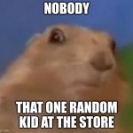 Suprised Chipmunk | NOBODY; THAT ONE RANDOM KID AT THE STORE | image tagged in suprised chipmunk | made w/ Imgflip meme maker