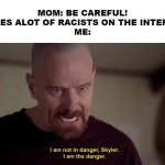 i am not in danger skyler i am the danger | MOM: BE CAREFUL! THERES ALOT OF RACISTS ON THE INTERNET!
ME: | image tagged in i am not in danger skyler i am the danger,racist,walter white,moms | made w/ Imgflip meme maker