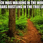Hearing something | (FLICK WAS WALKING IN THE WOODS AND HEARS RUSTLING IN THE TREE LEAVES) | image tagged in forest path | made w/ Imgflip meme maker