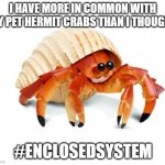 Hermit Crab | I HAVE MORE IN COMMON WITH MY PET HERMIT CRABS THAN I THOUGHT; #ENCLOSEDSYSTEM | image tagged in hermit crab | made w/ Imgflip meme maker