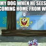 Excited Spongebob | MY DOG WHEN HE SEES ME COMING HOME FROM WORK | image tagged in excited spongebob | made w/ Imgflip meme maker