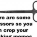 Here are some scissors cropped