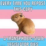 Transphobic Killer Capy