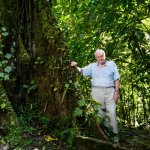 David Attenborough meme