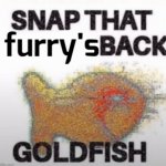 Snap that furry's back