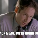 X-Files ufo canada | SCULLY, PACK A BAG.  WE’RE GOING TO CANADA! | image tagged in x files mulder on phone | made w/ Imgflip meme maker