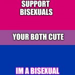 Im proud to be who i am | SUPPORT 
BISEXUALS; YOUR BOTH CUTE; IM A BISEXUAL | image tagged in bi flag | made w/ Imgflip meme maker