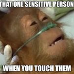 Do you know a person like this? | THAT ONE SENSITIVE PERSON; WHEN YOU TOUCH THEM | image tagged in e | made w/ Imgflip meme maker