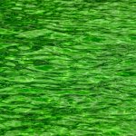 green water meme