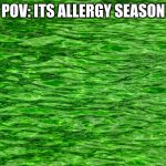 pov: its allergy season | POV: ITS ALLERGY SEASON | image tagged in green water,funny,sickness,fun,lol,why | made w/ Imgflip meme maker