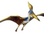 Geosternbergia (TLW Design)
