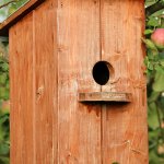 birdhouse template