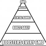 NWO PYRAMID | NWO; PASSPORT; CENTAL BANKS; BUGS DAILY; BOOSTERS EVERY 6MO | image tagged in nwo | made w/ Imgflip meme maker