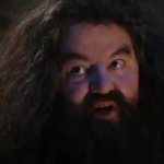 you're a wizard GIF Template