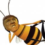 Donald bee Trump template