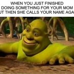 Happens all the time | WHEN YOU JUST FINISHED DOING SOMETHING FOR YOUR MOM BUT THEN SHE CALLS YOUR NAME AGAIN | image tagged in shrek,memes,funny,funny memes,shrek memes | made w/ Imgflip meme maker