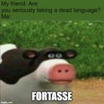 Someone better understand this | My friend: Are you seriously taking a dead language?
Me:; FORTASSE | image tagged in perhaps barnyard | made w/ Imgflip meme maker