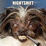 ugly dog | NIGHTSHIFT | image tagged in ugly dog | made w/ Imgflip meme maker