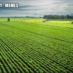 I_enjoy_memes_template meme