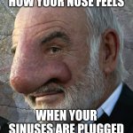 What is the use of a nose when its constantly sealed airtight from allergies???!!? | HOW YOUR NOSE FEELS; WHEN YOUR SINUSES ARE PLUGGED | image tagged in nose,allergies,its time to stop,useless | made w/ Imgflip meme maker