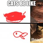 first meme of the day | CATS BE LIKE | image tagged in drake template cats version | made w/ Imgflip meme maker